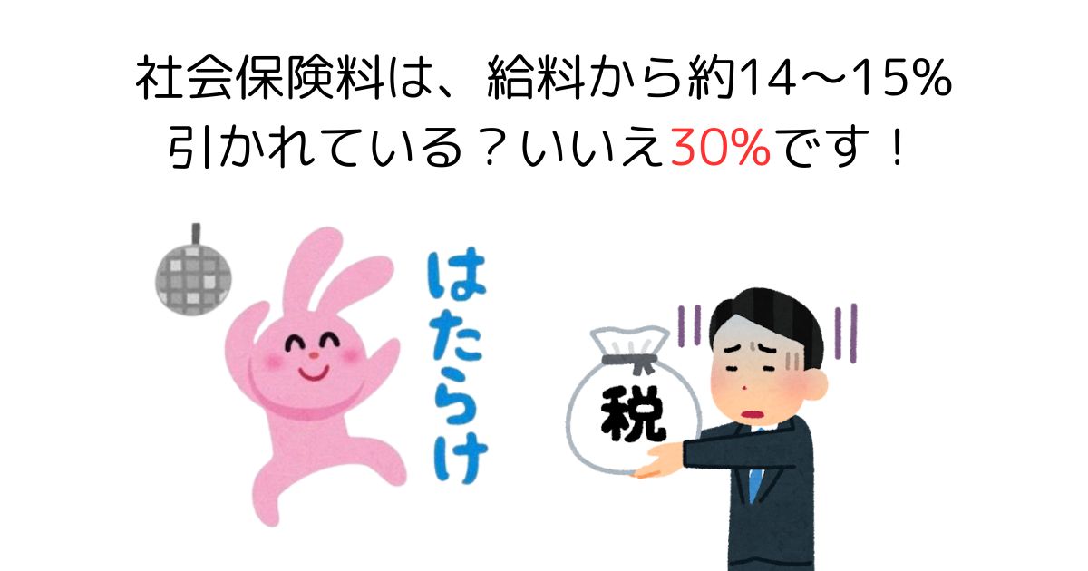 社会保険料は給料から30%引かれている